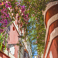 Buy canvas prints of Colorful Building Flowers Santa Cruz Garden District Seville Spa by William Perry