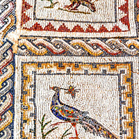 Buy canvas prints of Colorful Ancient Birds Mosaic Italica Roman City Seville Andalus by William Perry