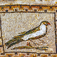 Buy canvas prints of Colorful Ancient Bird Mosaic Italica Roman City Seville Andalusi by William Perry