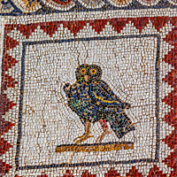 Buy canvas prints of Colorful Ancient Owl Bird Mosaic Italica Roman City Seville Spain by William Perry