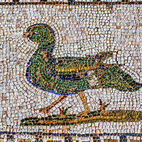 Buy canvas prints of Colorful Ancient Duck Bird Mosaic Italica Roman City Seville Spa by William Perry