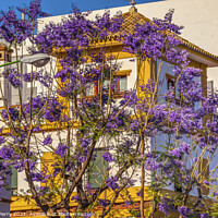 Buy canvas prints of Colorful Jacaranda Flowers Yellow White Buildings Seville Spain by William Perry