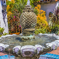 Buy canvas prints of Fountain Plants Old San Diego Town California  by William Perry