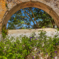 Buy canvas prints of Ancient Usseira Aqueduct Blue Flowers Obidos Portugal by William Perry