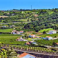 Buy canvas prints of Castle Walls Orange Roofs Farmland Countryside Obidos Portugal by William Perry