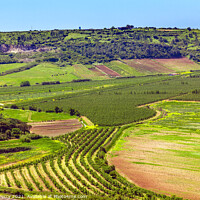 Buy canvas prints of Countryside Farms Farmlands Obidos Portugal by William Perry