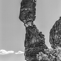 Buy canvas prints of Black White Balanced Rock Arches National Park Moab Utah  by William Perry