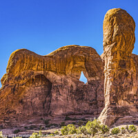 Buy canvas prints of Parade of Elephants Rock Canyon Windows Section Arches National  by William Perry