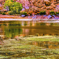 Buy canvas prints of Indian Creek Reflection Red Cliff Canyonlands Needles Utah by William Perry