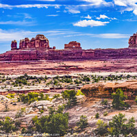 Buy canvas prints of Wooden Shoe Arch Pink Buttes Canyonlands Needles Utah by William Perry