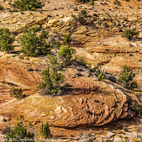 Buy canvas prints of Rock Patterns Near Shoe Arch Canyonlands Needles Utah by William Perry