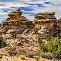Buy canvas prints of Rock Fromations Near Shoe Arch Canyonlands Needles Utah by William Perry