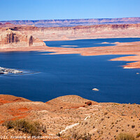 Buy canvas prints of Wahweap Marina Wahweap Bay Lake Powell Glen Canyon Recreation Ar by William Perry
