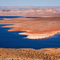 Buy canvas prints of Wahweap Bay Red Rocks Lake Powell Glen Canyon Recreation Area Ar by William Perry