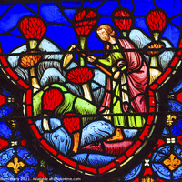 Buy canvas prints of Farmers Flowers Stained Glass Sainte Chapelle Paris France by William Perry