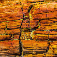 Buy canvas prints of Petrified Wood Rock Abstract Background National Park Arizona by William Perry
