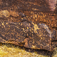Buy canvas prints of Indian Petroglyphs Newspaper Rock Petrified Forest National Park by William Perry