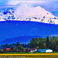 Buy canvas prints of Mount Baker Skagit Valley Yellow Flowers Washington State by William Perry