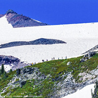 Buy canvas prints of First Day Climbing Camp Muir Mount Rainier National Park Washing by William Perry