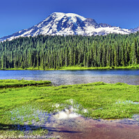 Buy canvas prints of Reflection Lake Paradise Mount Rainier National Park Washington by William Perry