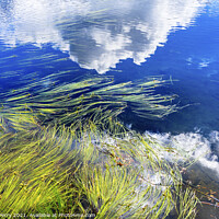 Buy canvas prints of Picture Lake Reeds Clouds Reflection Washington USA by William Perry