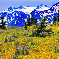 Buy canvas prints of Snow Mountains Hurricane Ridge Olympic National Park Washington by William Perry