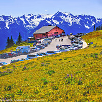 Buy canvas prints of Hurricane Ridge Visitor Center Olympic National Park Washington by William Perry