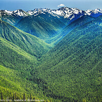 Buy canvas prints of Green Valleys Mountains Hurricane Ridge Olympic National Park Washington by William Perry