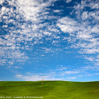 Buy canvas prints of Green Wheat Grass Blue Skies Palouse Washington State by William Perry