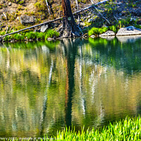 Buy canvas prints of Green Tree Summer Water Reflection Abstract Wenatchee River Vall by William Perry