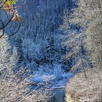Buy canvas prints of Winter Leaves Snow Ice Sun Wenatchee River Washington by William Perry