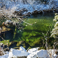 Buy canvas prints of Winter Leaves Snow Ice  Wenatchee River Washington by William Perry