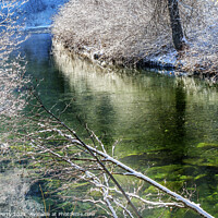 Buy canvas prints of Winter Leaves Snow Ice  Wenatchee River Washington by William Perry