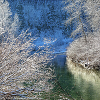 Buy canvas prints of Winter Leaves Snow Ice  Wenatchee River Leavenworth Washinton by William Perry