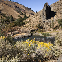 Buy canvas prints of Naches River and Desert with Yellow Flowers Yakima Washington by William Perry