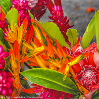 Buy canvas prints of Christmas Flower Arrangement Torch Red Ginger Moorea Tahiti by William Perry