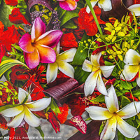 Buy canvas prints of Pink Yellow Red Tropical Flowers  Chistmas Arrangement Plumeria  by William Perry