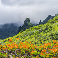Buy canvas prints of Colorful Green Mountains Orange Flame Tree Moorea Tahiti by William Perry