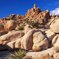 Buy canvas prints of Rocks Hidden Valley Mojave Desert Joshua Tree National Park Cali by William Perry