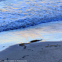 Buy canvas prints of Eilwood Mesa Beach Seaweed Pacific Ocean Evening Goleta Californ by William Perry