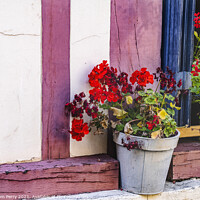 Buy canvas prints of Red Geranium Wiindow Old Town Street Honfluer France by William Perry