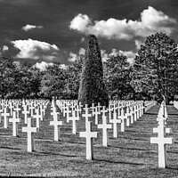 Buy canvas prints of Black White Crosses American Military World War 2 Cemetary Norma by William Perry