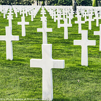 Buy canvas prints of American Military World War 2 Cemetery Normandy France by William Perry