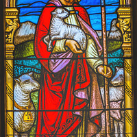 Buy canvas prints of Jesus Lambs Stained Glass Church Saint Augustine Florida by William Perry