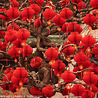 Buy canvas prints of Lucky Red Lanterns Chinese Lunar New Year Decorations Ditan Park by William Perry