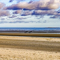 Buy canvas prints of Horses Sulkies Utah D-day Landing Beach Normandy France by William Perry