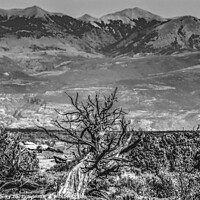 Buy canvas prints of Black White Abajo Blue Mountains Canyonlands National Park Moab  by William Perry
