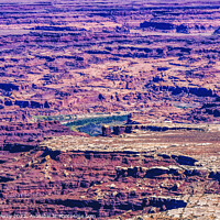 Buy canvas prints of Grand View Point Overlook Canyonlands National Park Moab Utah  by William Perry
