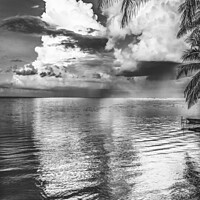 Buy canvas prints of Black White Rain Storm Cloudscape Beach Moorea Tahiti by William Perry