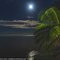 Buy canvas prints of Moon Night Reflection Blue Water Moorea Tahiti by William Perry